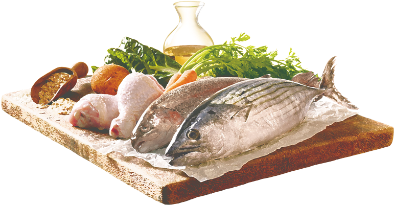 Sardines PNG