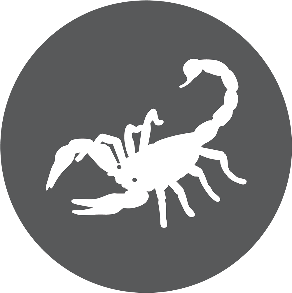 Scorpion Arachnids Download PNG Image