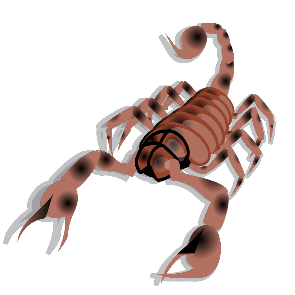 Scorpion Arachnids PNG Clipart