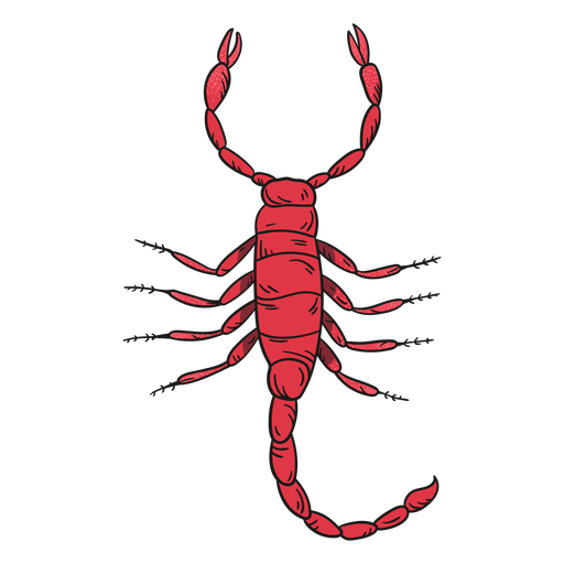 Scorpion Arachnids PNG Isolated HD