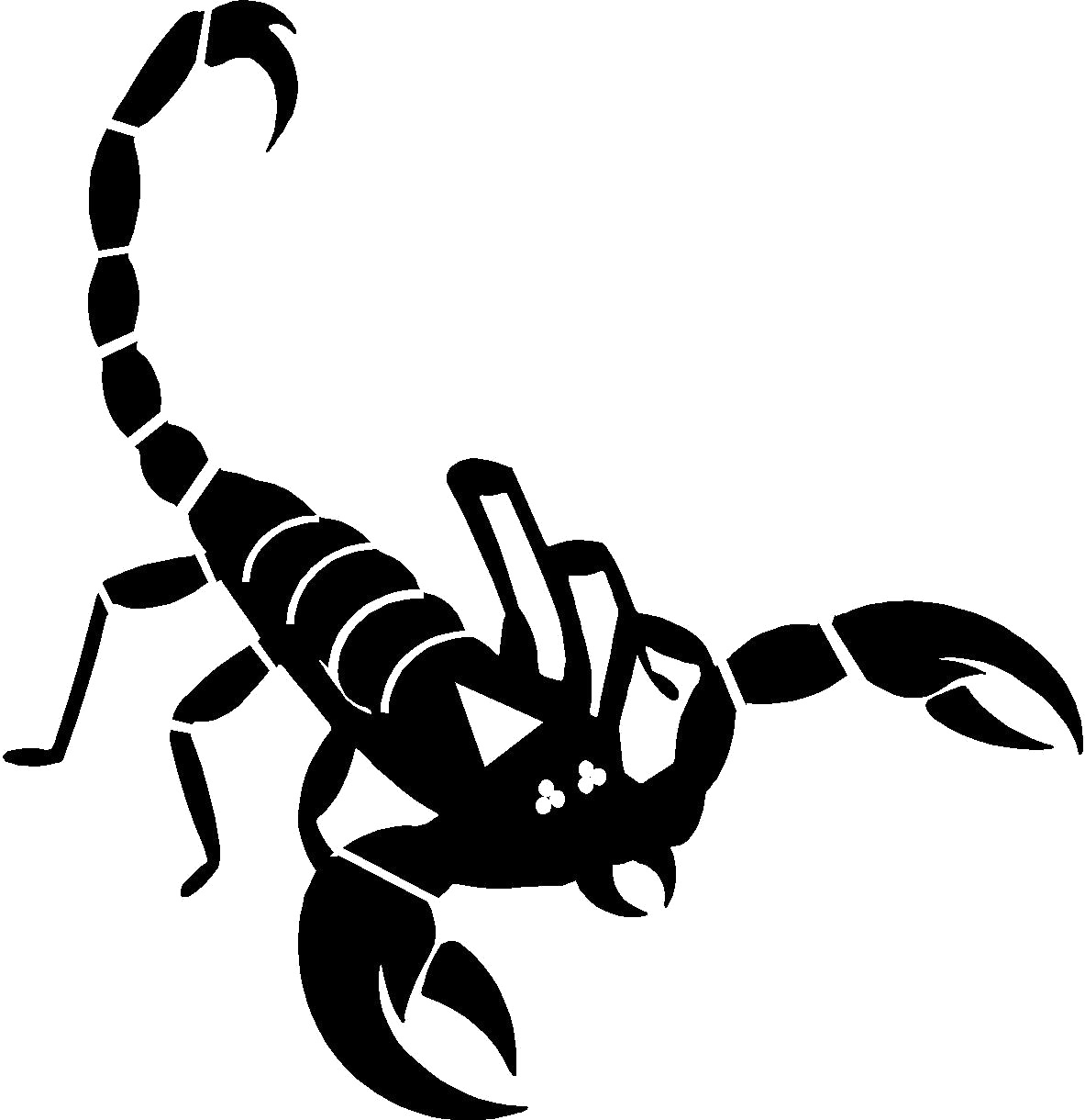 Scorpions PNG Free Download