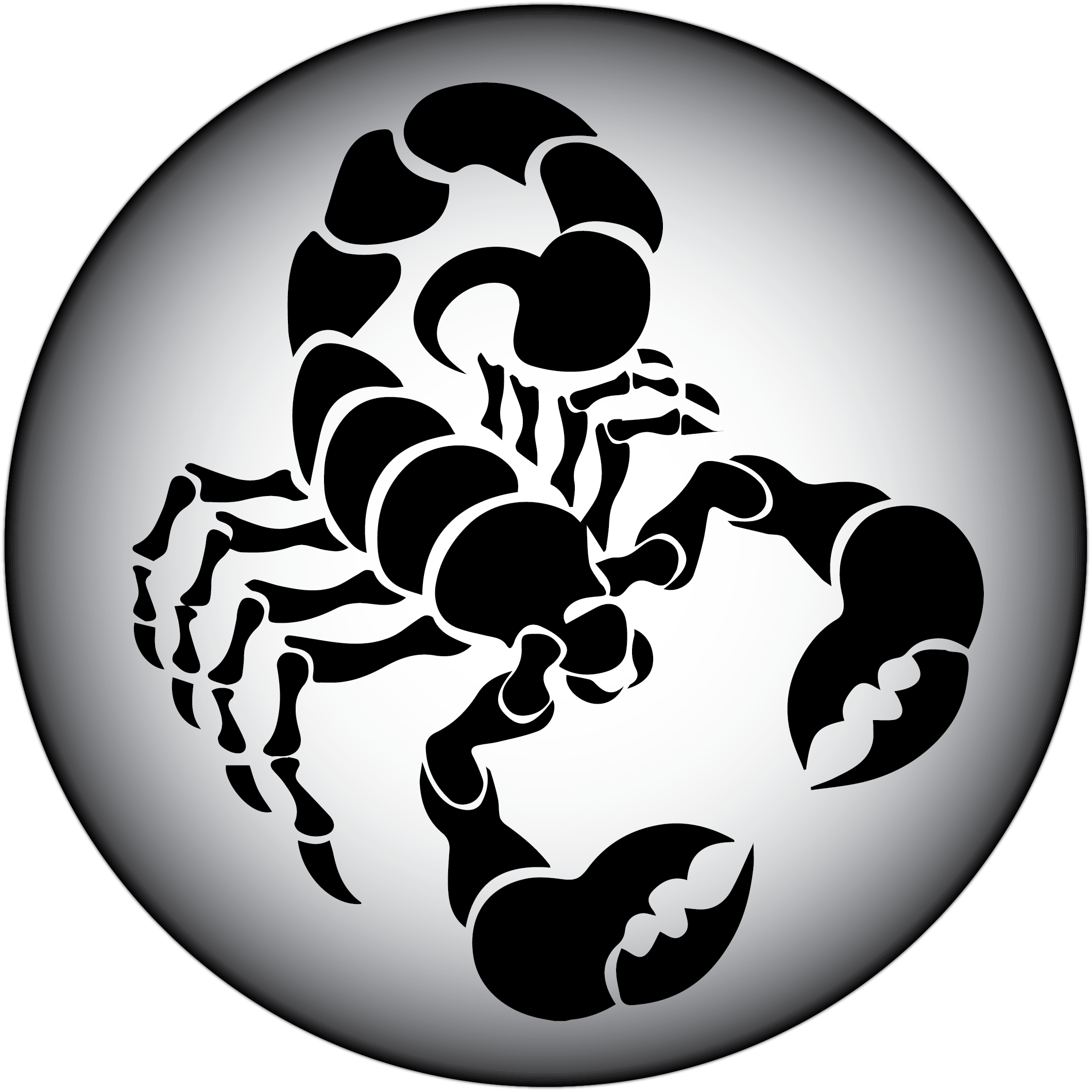 Scorpions PNG HD