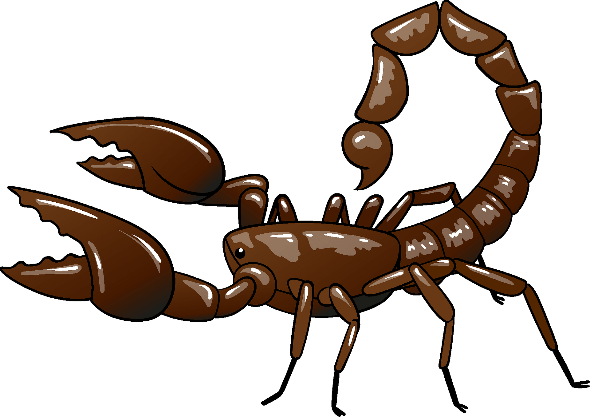 Scorpions PNG Isolated Clipart