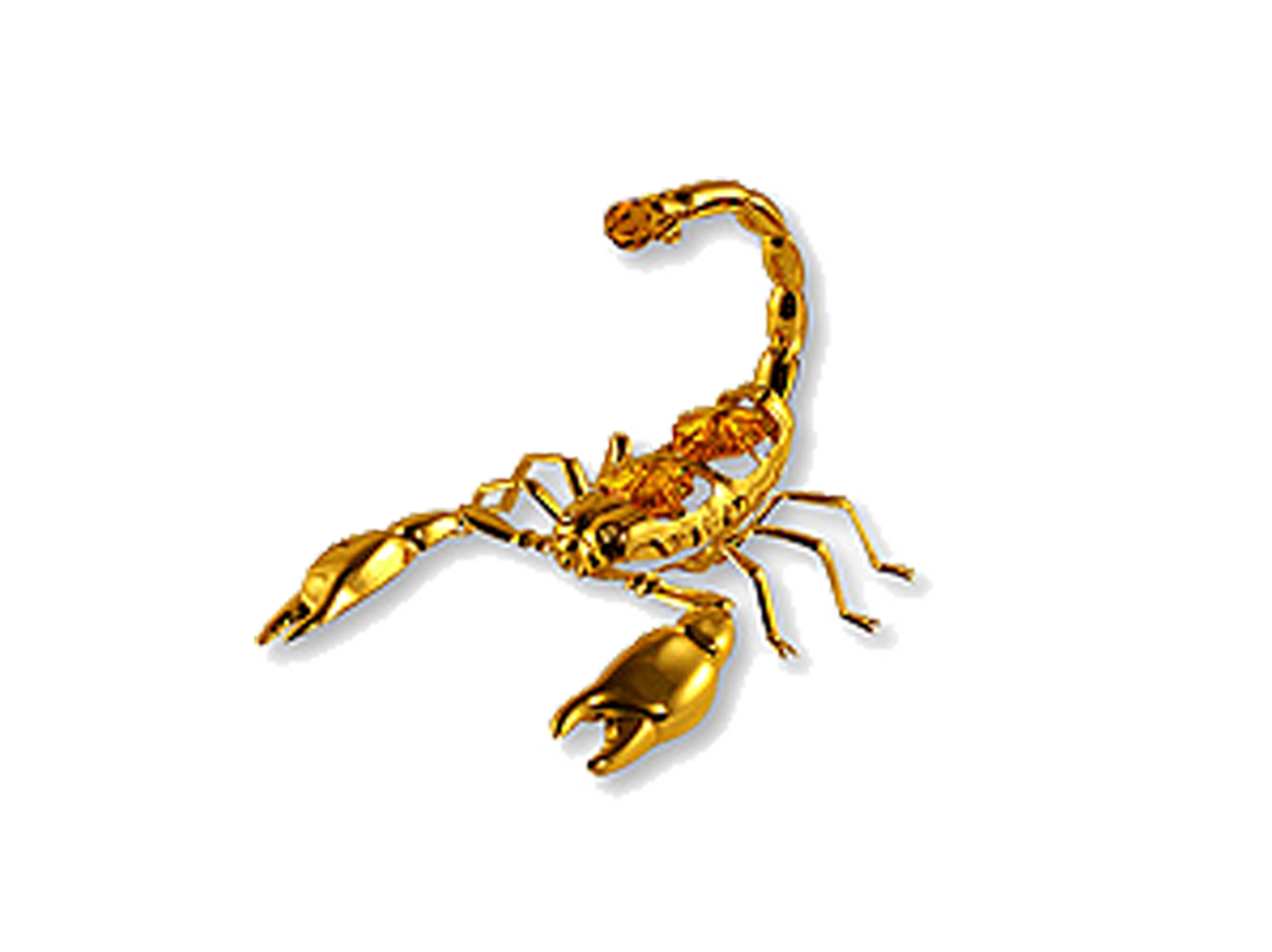Scorpions PNG Isolated Free Download