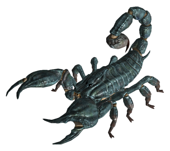 Scorpions PNG Isolated Transparent Picture