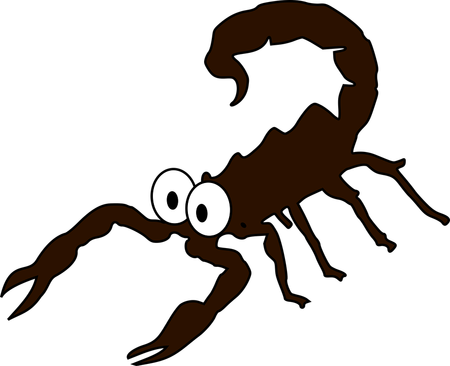 Scorpions Transparent PNG