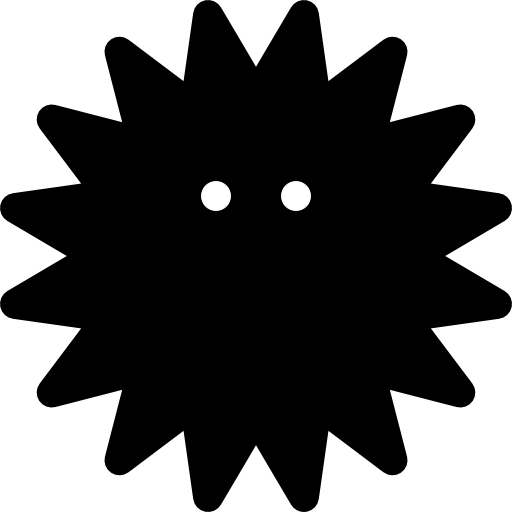 Sea Urchin PNG Image