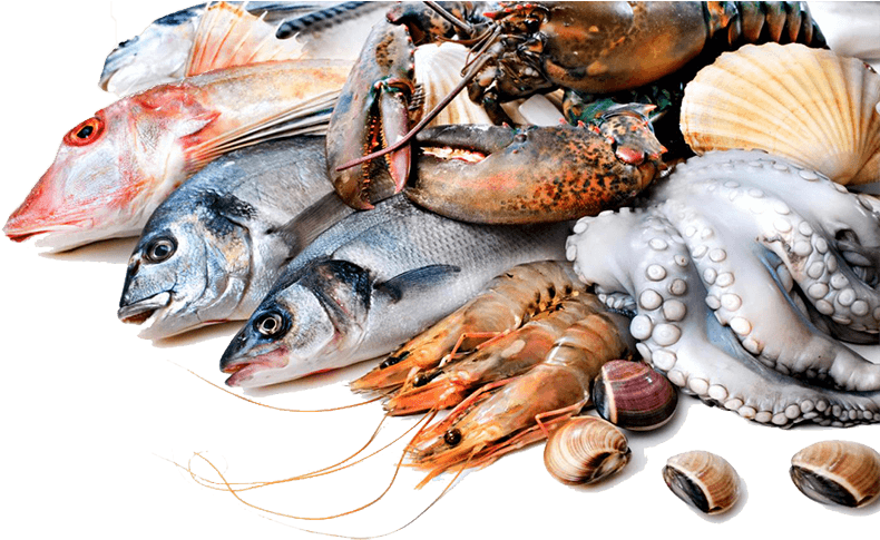 Seafood Download PNG Image