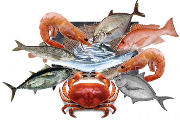 Seafood PNG File