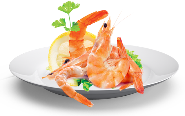 Seafood PNG Isolated Photo