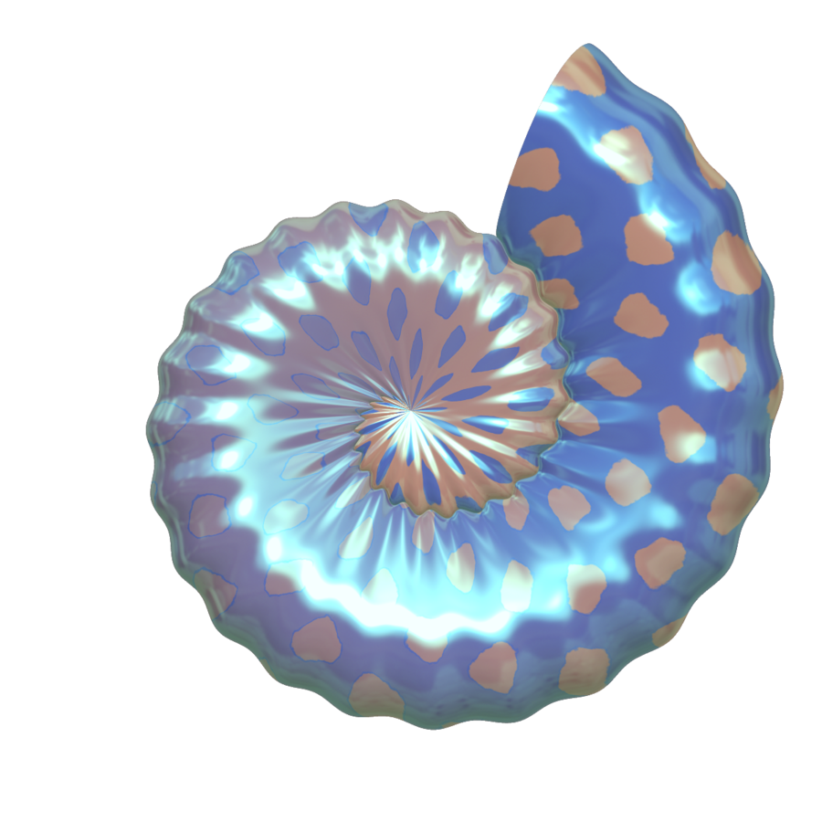 Seashell PNG Picture