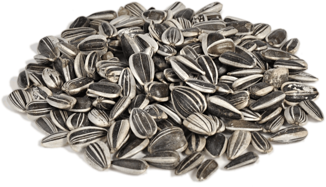 Seed PNG Isolated Clipart
