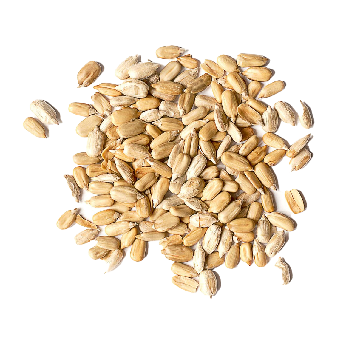 Seed PNG Isolated HD Pictures
