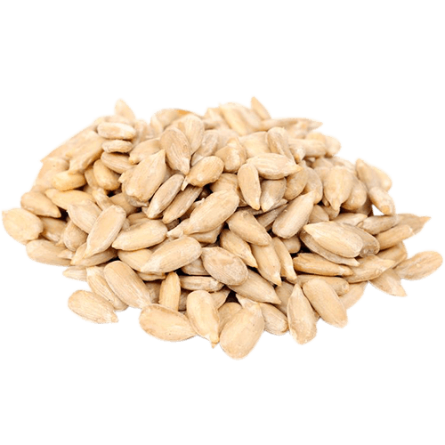 Seed PNG Isolated Image