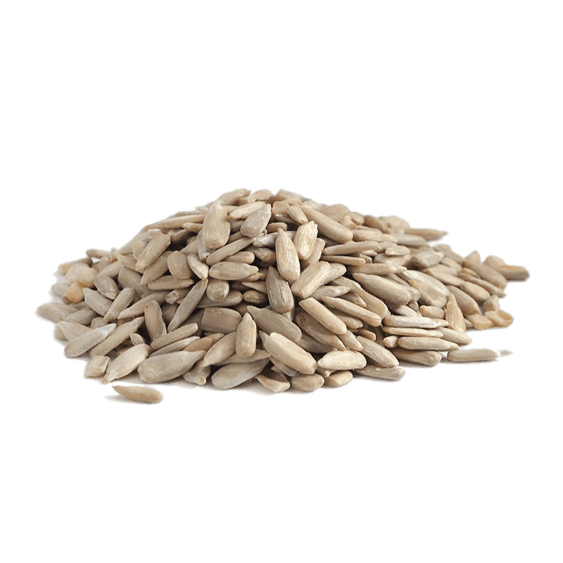 Seed PNG Isolated Photo