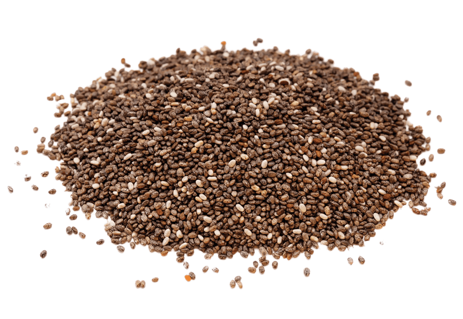 Seed PNG Isolated Photos
