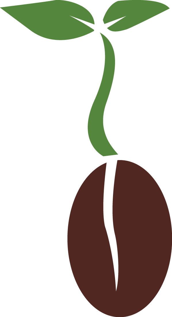 Seed PNG Photo