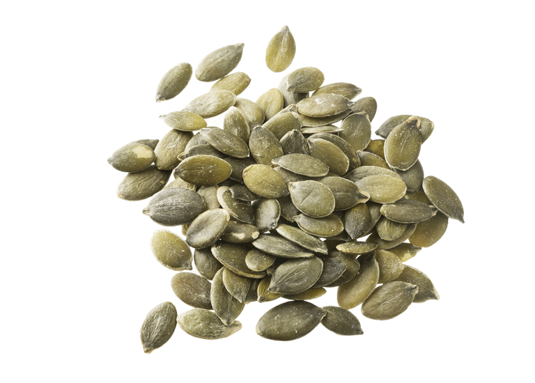Seed PNG Transparent Image