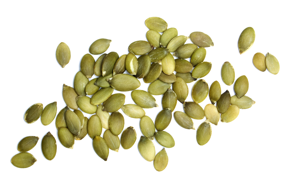 Seed Transparent Isolated PNG