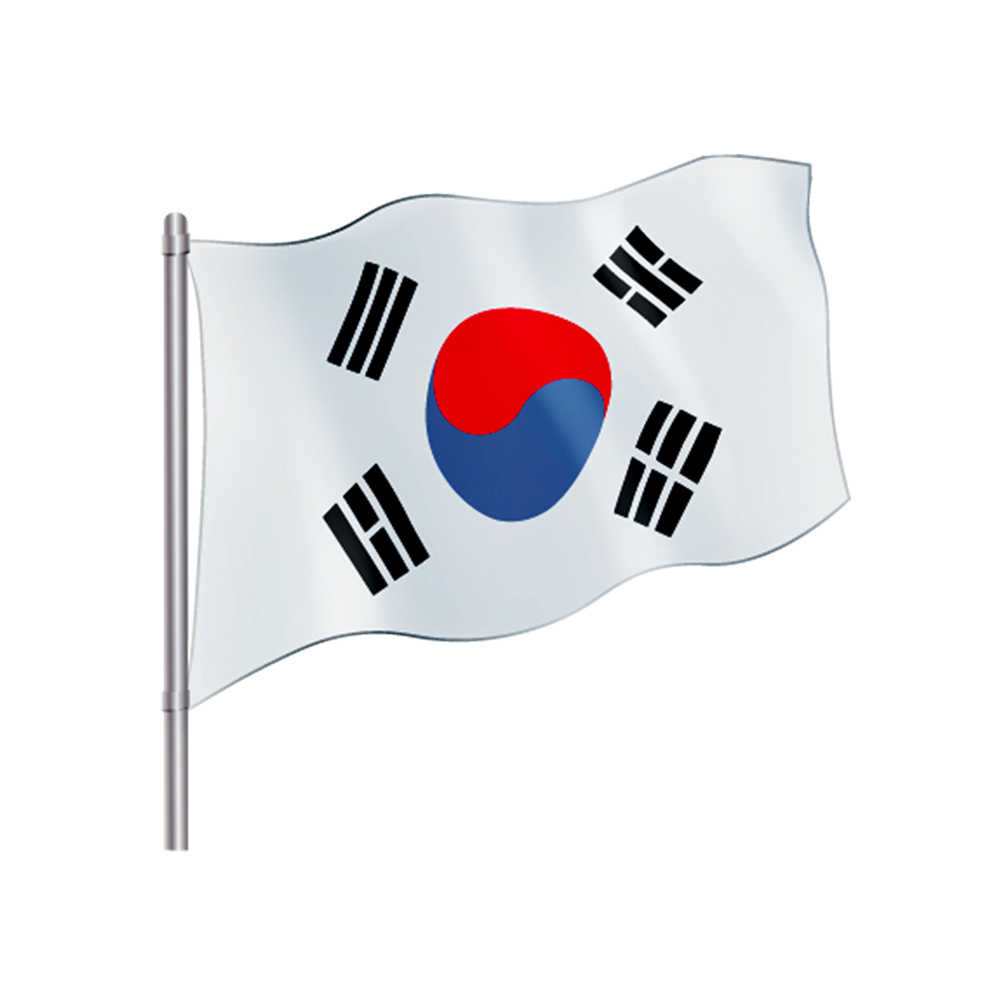 Seoul Flag PNG Isolated Photo