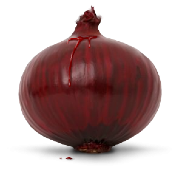 Shallot PNG Isolated Image