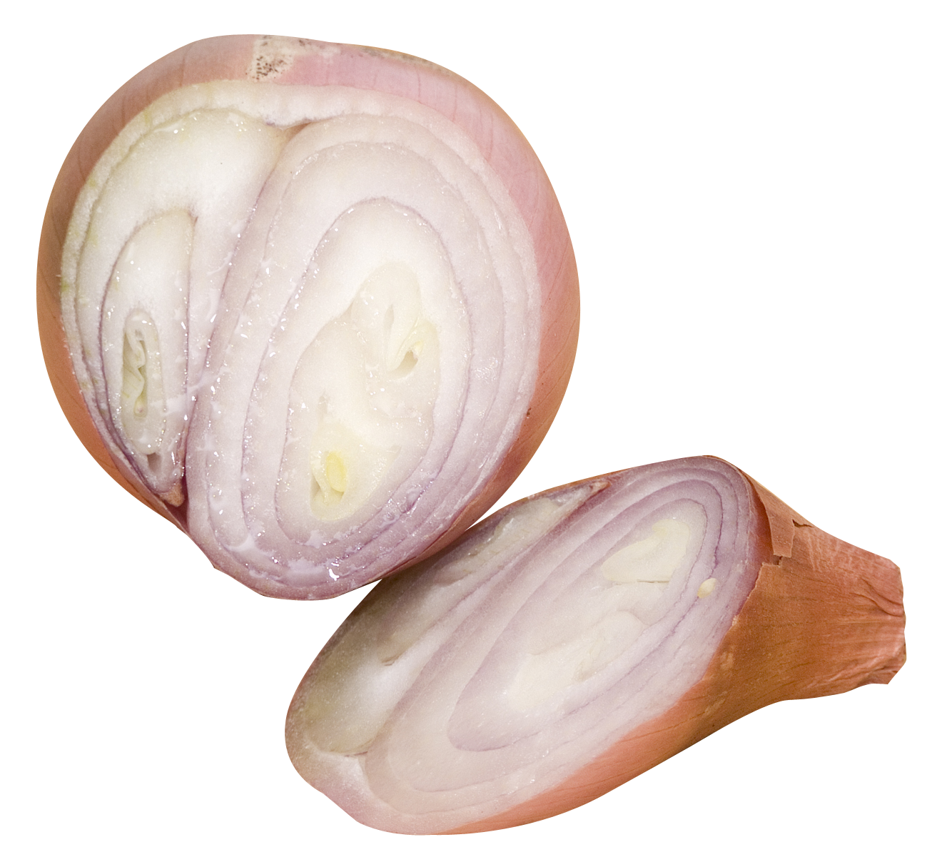 Shallot PNG Isolated Pic