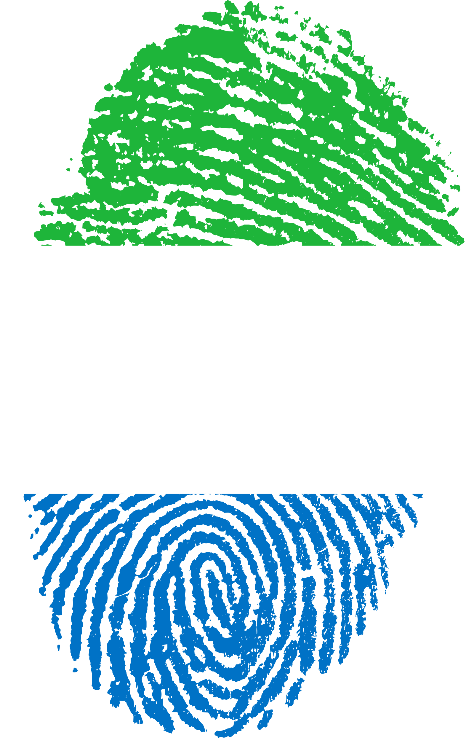 Sierra Leone Flag PNG
