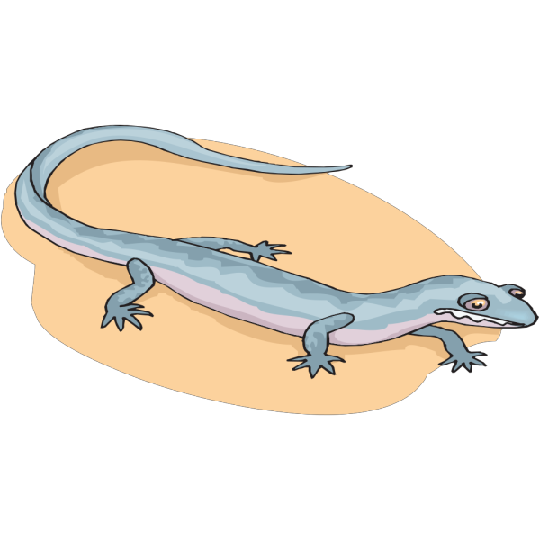 Skinks PNG Isolated File