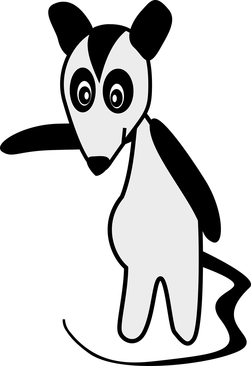 Skunk PNG Transparent Picture
