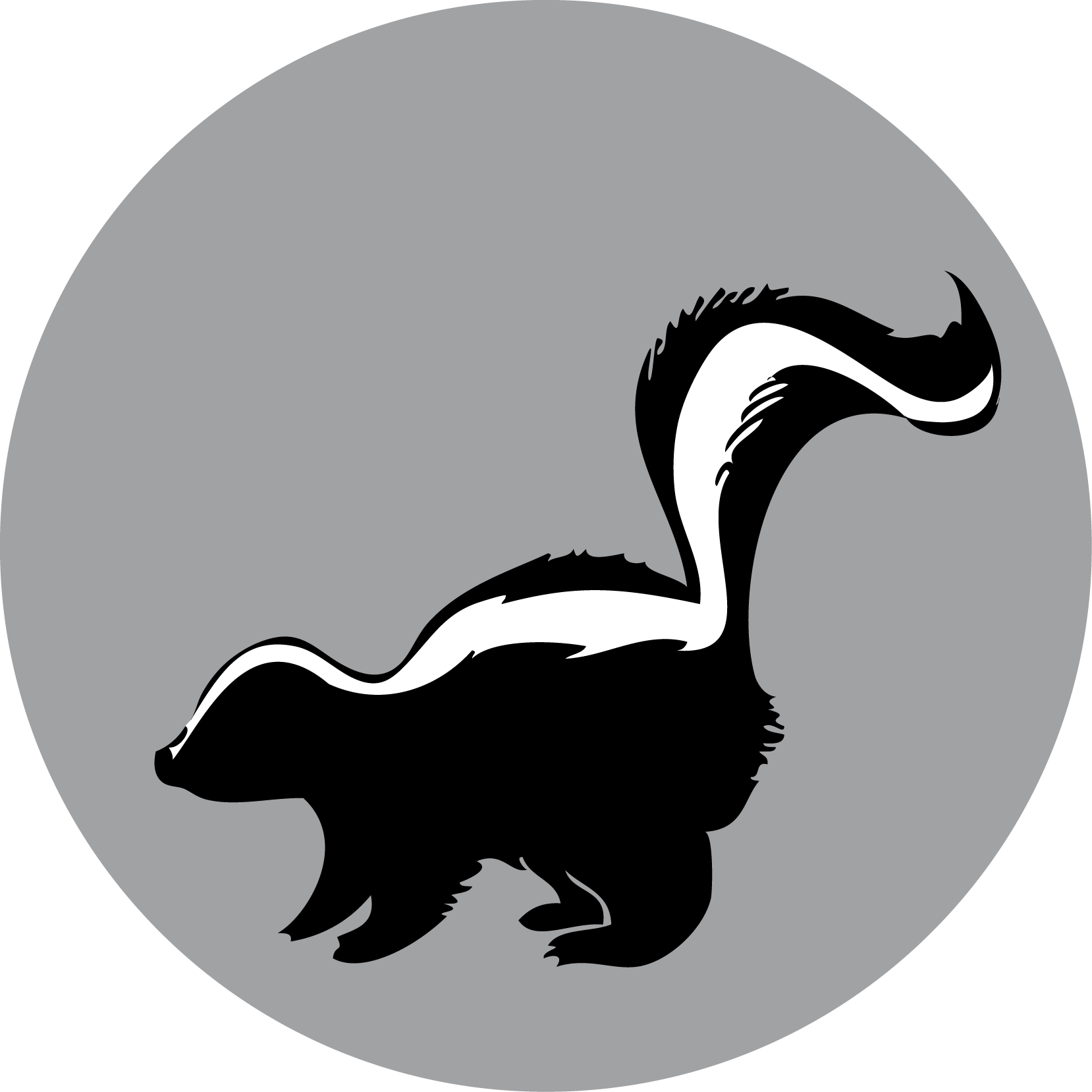 Skunks PNG Isolated Image