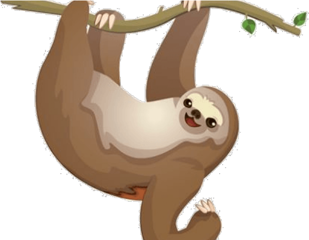 Sloth PNG Isolated Photo