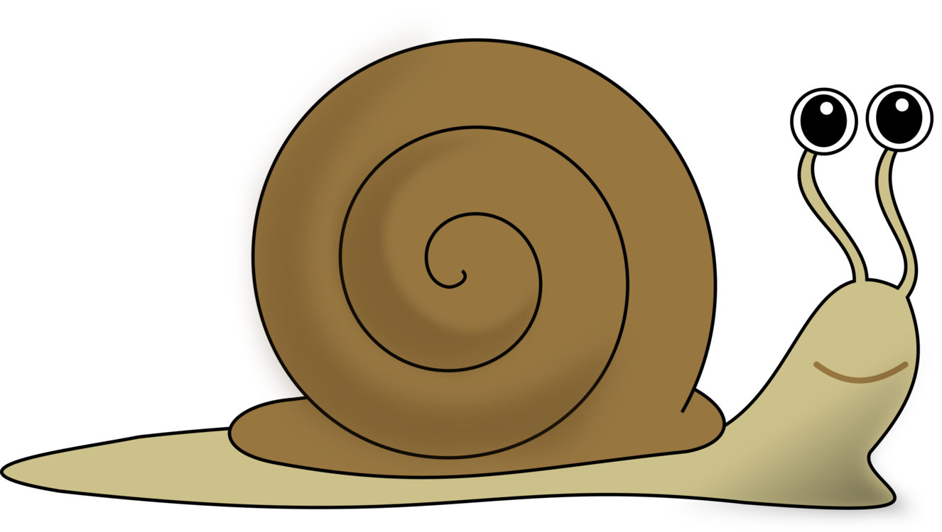 Slugs PNG Image