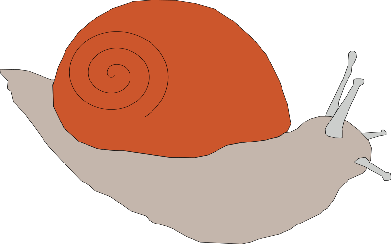 Snail Background Isolated PNG