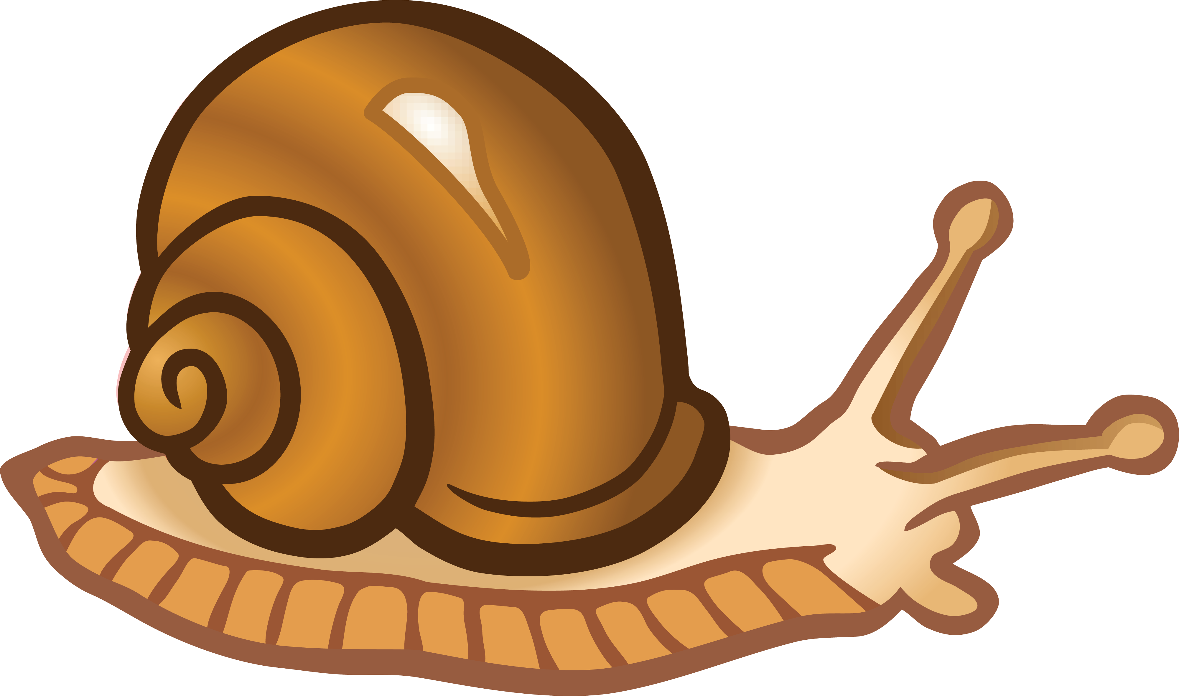 Snail PNG Isolated Transparent Picture