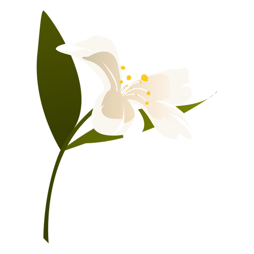 Snowdrop PNG Free Download