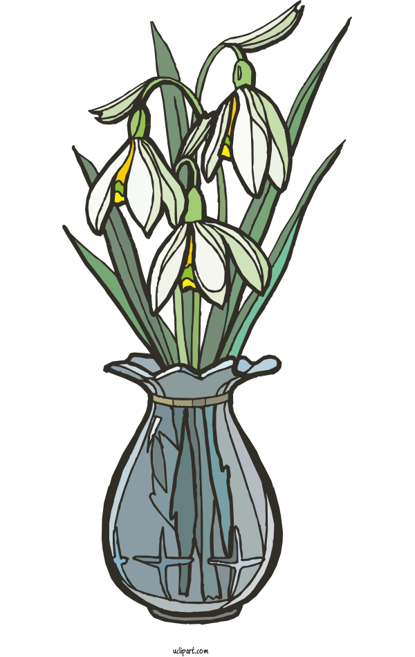 Snowdrop PNG Isolated HD