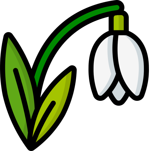 Snowdrop PNG Photo
