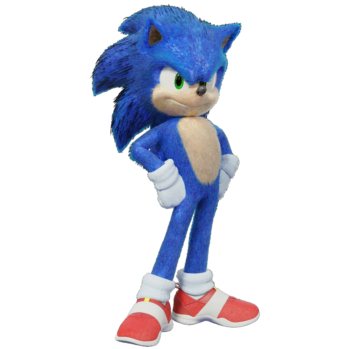 Sonic The Hedgehog Movie 2020 PNG Free Download