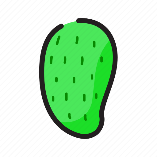 Soursop PNG Isolated Photo