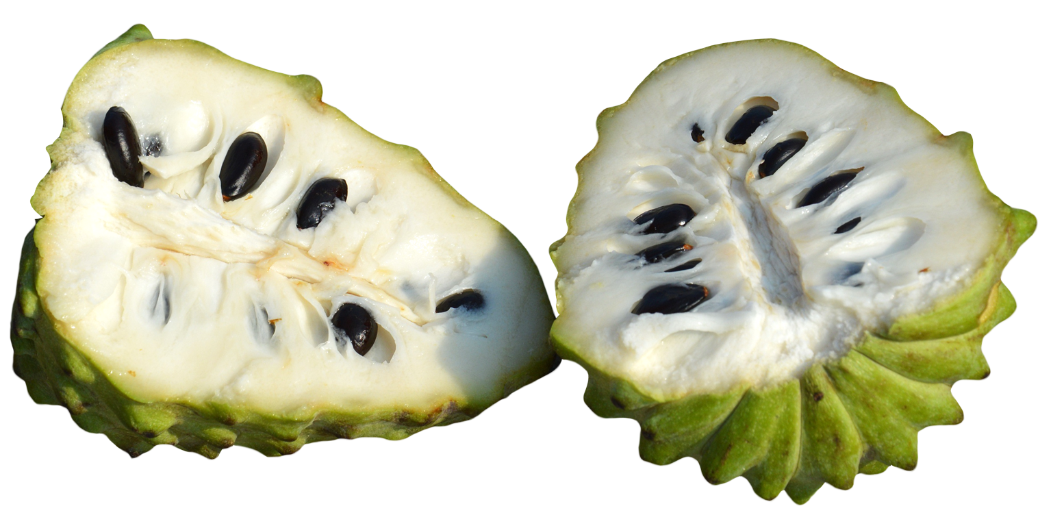 Soursop PNG Isolated Pic