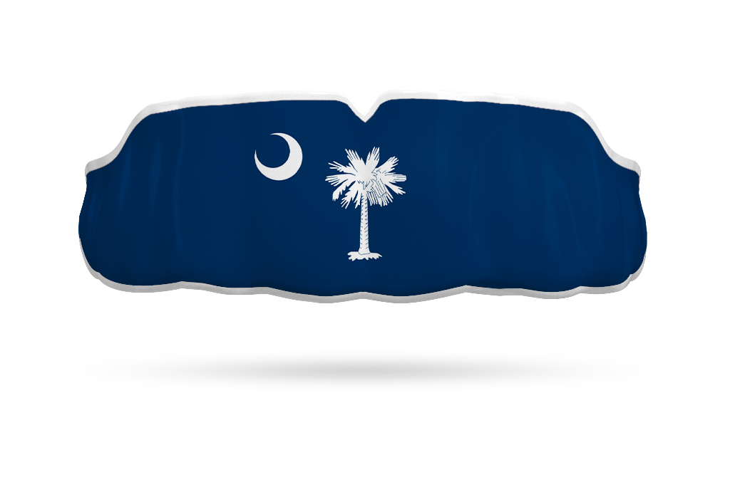 South Carolina State Flag PNG File