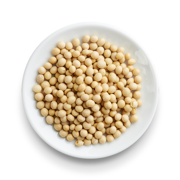 Soybeans PNG File
