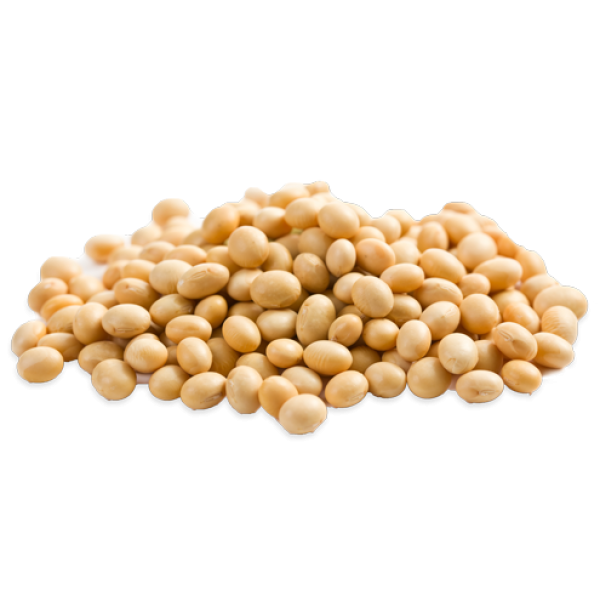 Soybeans PNG HD Isolated