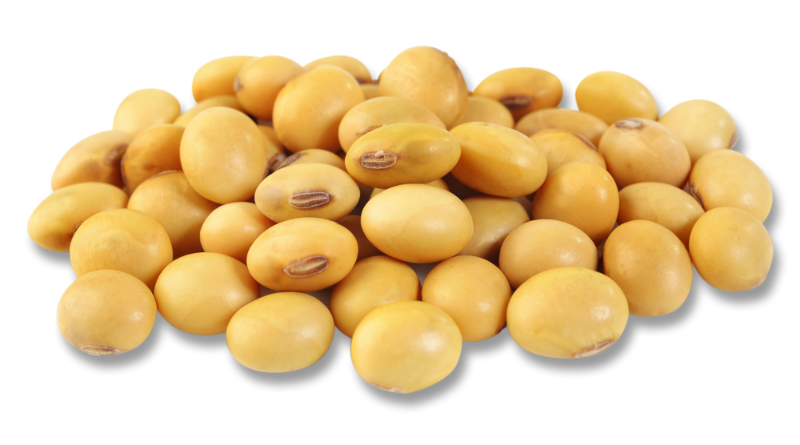 Soybeans PNG Image