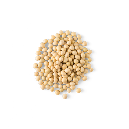 Soybeans PNG Isolated File