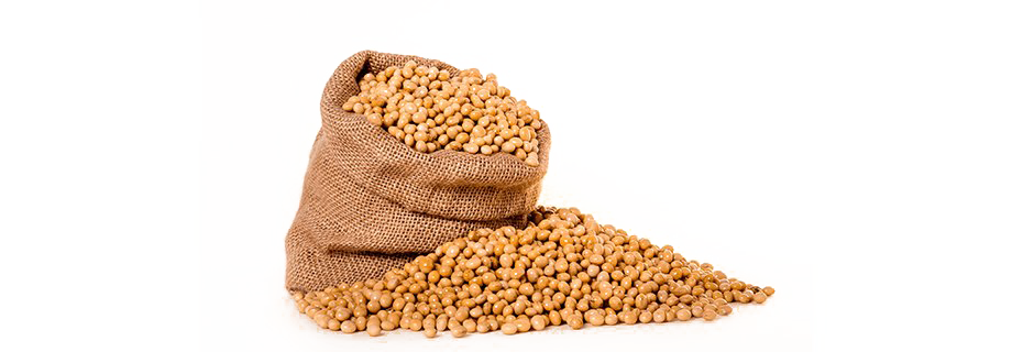 Soybeans PNG Isolated HD