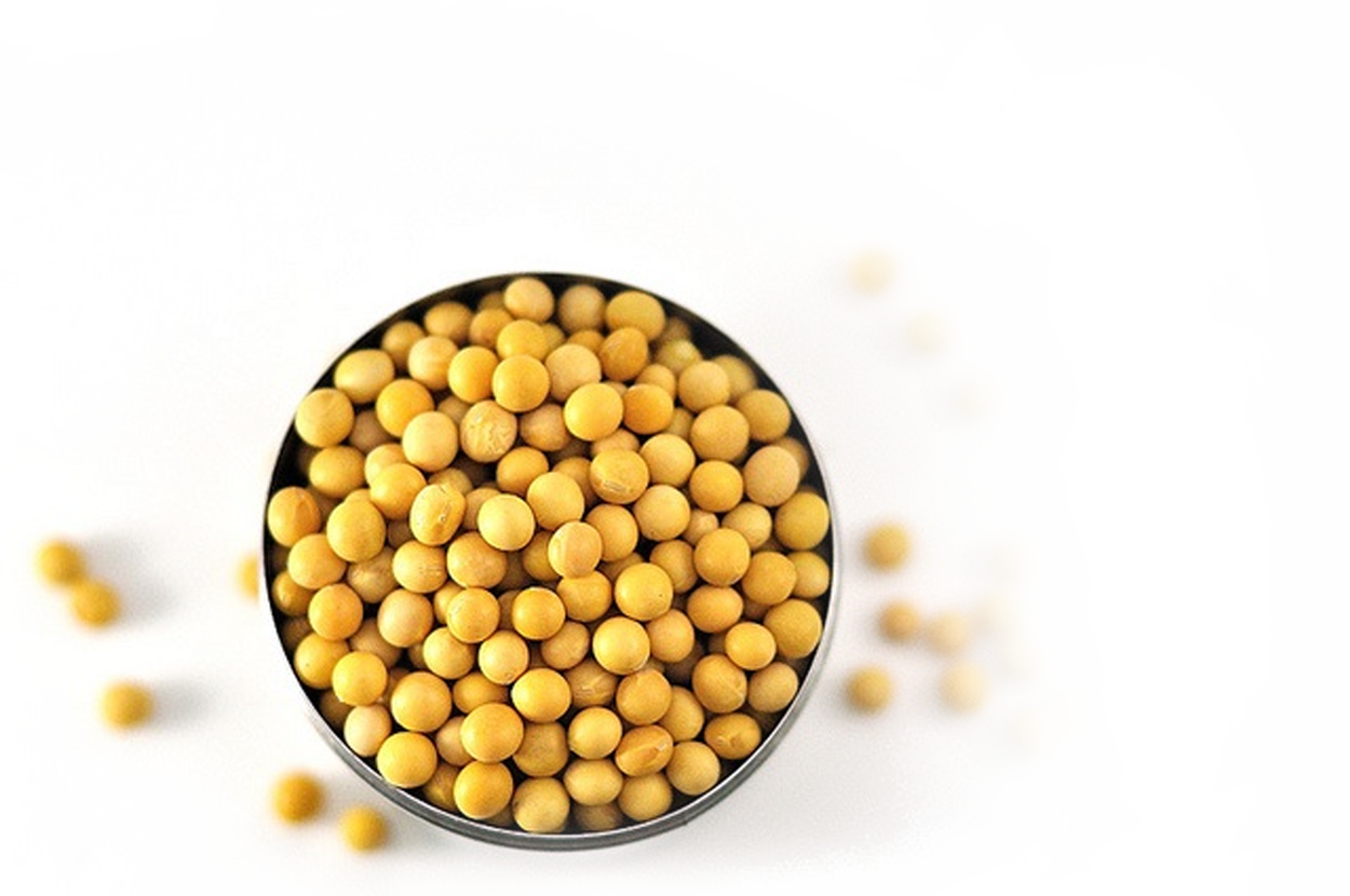 Soybeans PNG Isolated Image