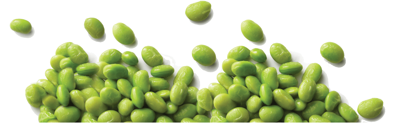 Soybeans PNG Photo