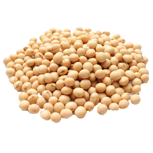 Soybeans PNG Picture