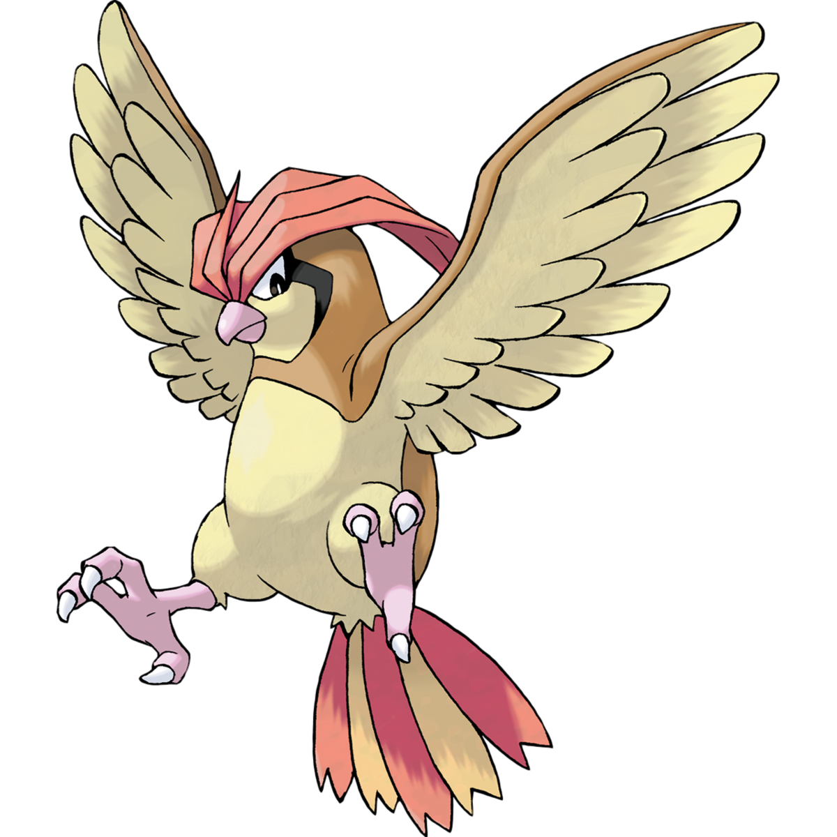 Spearow Pokemon PNG Isolated Photos